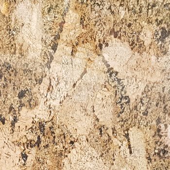 Alaska Gold Granite