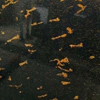 Fish Gold Granite