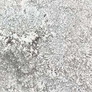 Oyster White Granite